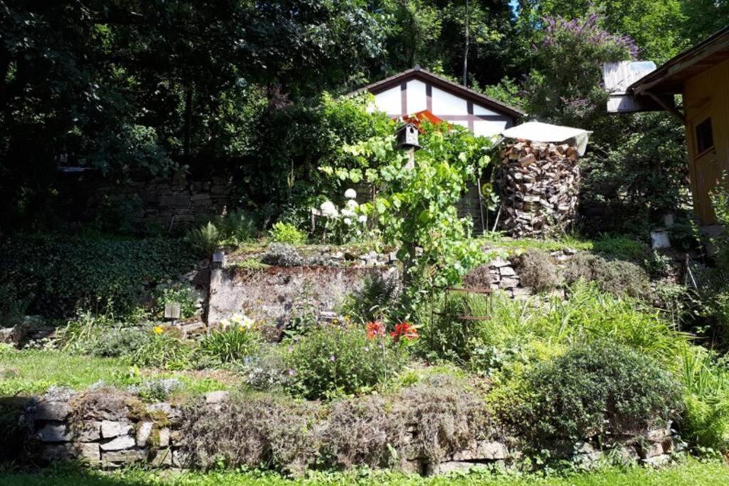 Eine Gemuetliche Ferienwohnung Mit Garten Bad Karlshafen Dış mekan fotoğraf
